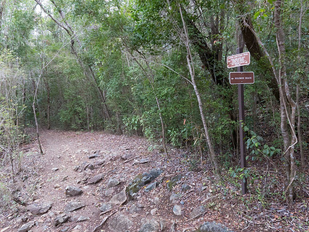 Lind Point Trail, Virgin Islands National Park