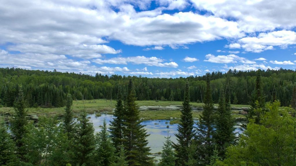 Beaver Pond Overlook Trail, Voyageurs National Park