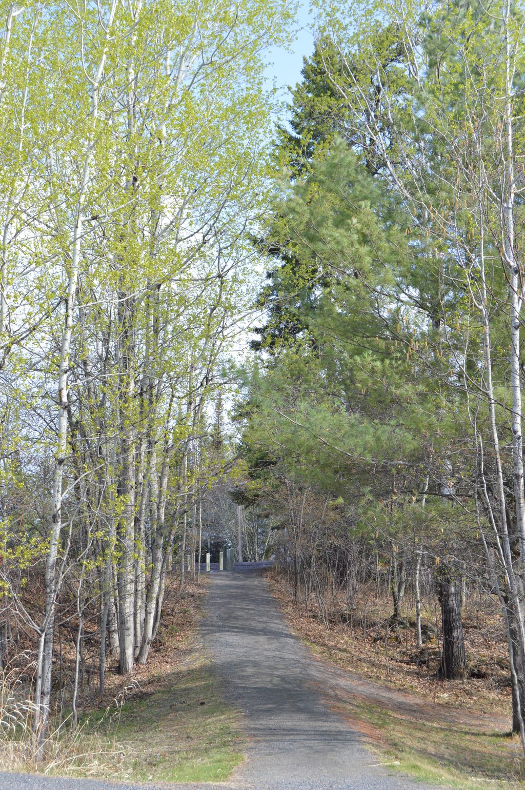 Oberholtzer Trail, Voyageurs National Park