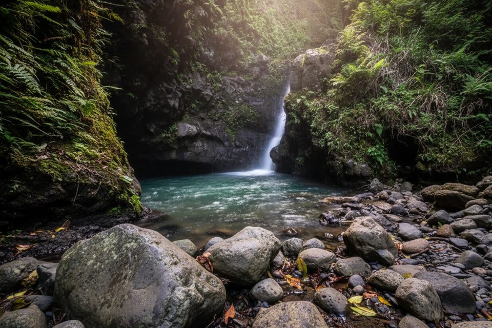 13 Crossings of Makamakaole Stream, West Maui Scenic Drive