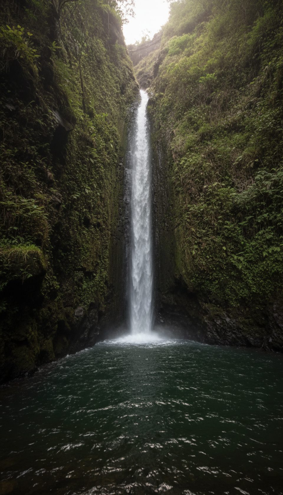 Upper Makamakaole Falls Trail, West Maui Scenic Drive