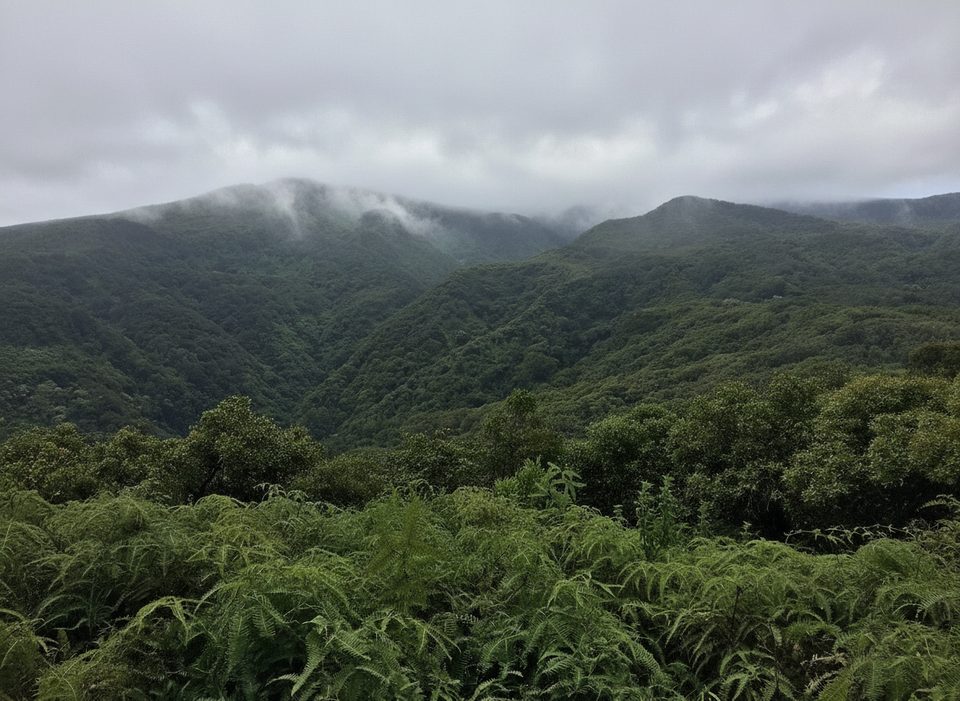 Maunalei Arboretum Trail, West Maui Scenic Drive