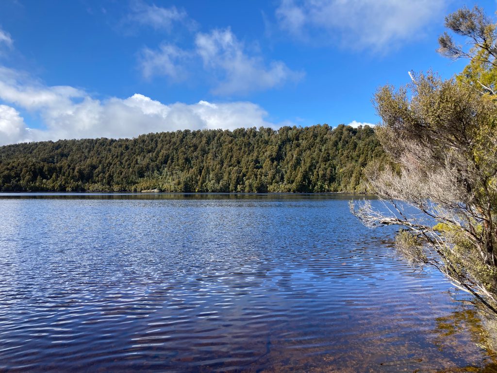 Lake Gault Track, Westland Tai Poutini National Park