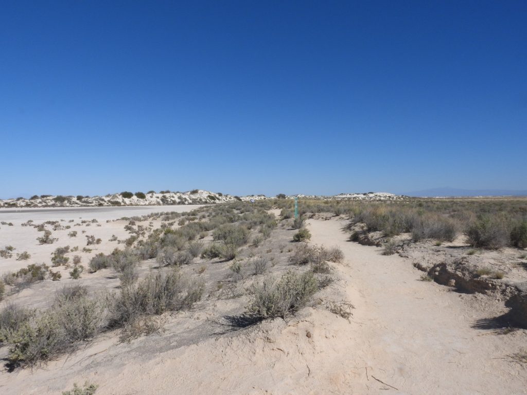 Playa Trail, White Sands National Park