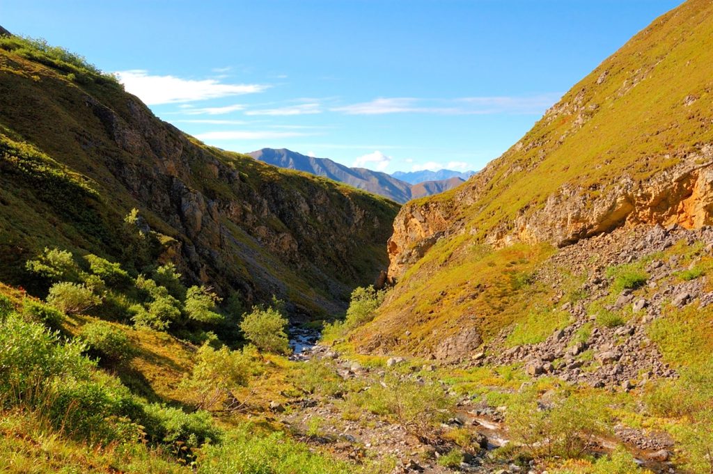Dixie Pass Trail, Wrangell-St. Elias National Park