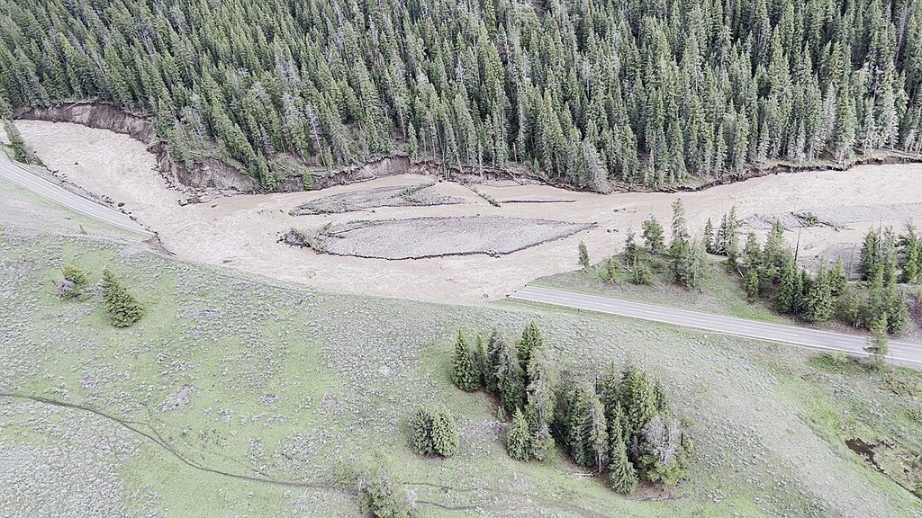 Trout Lake Trail, Yellowstone National Park