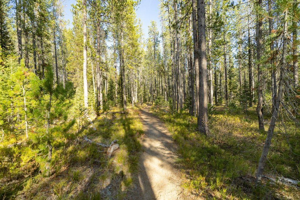Union Falls Trail, Yellowstone National Park