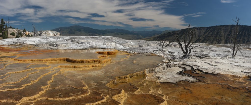 Mammoth Terraces, Yellowstone National Park