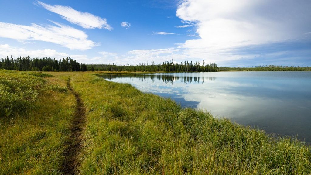 Grebe Lake Trail, Yellowstone National Park