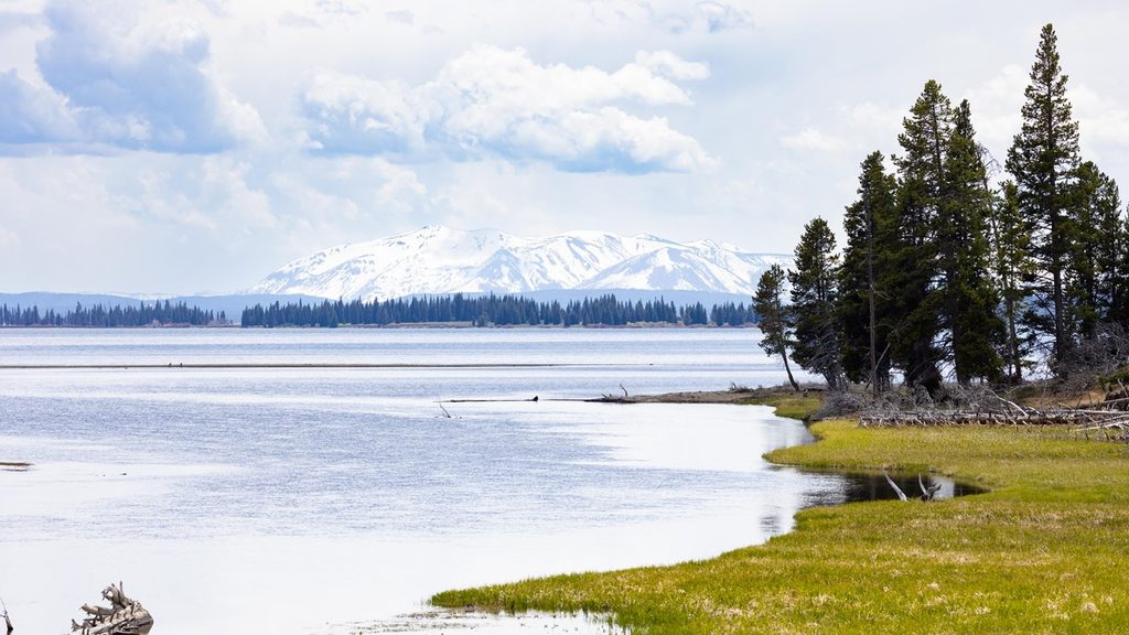 Pelican Creek Nature Trail, Yellowstone National Park