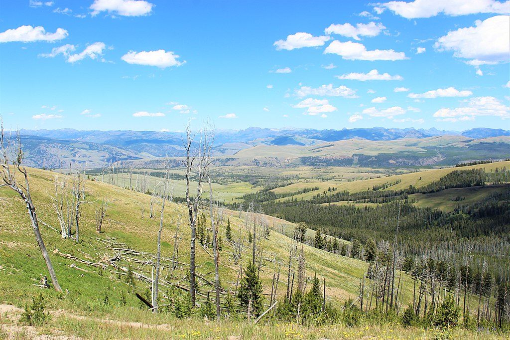 Chittenden Road-Mount Washburn, Yellowstone National Park