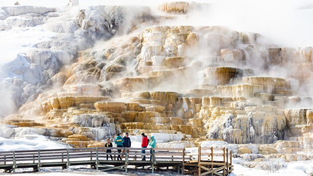 Mammoth Hot Springs Lower Terrace Boardwalk, Yellowstone National Park
