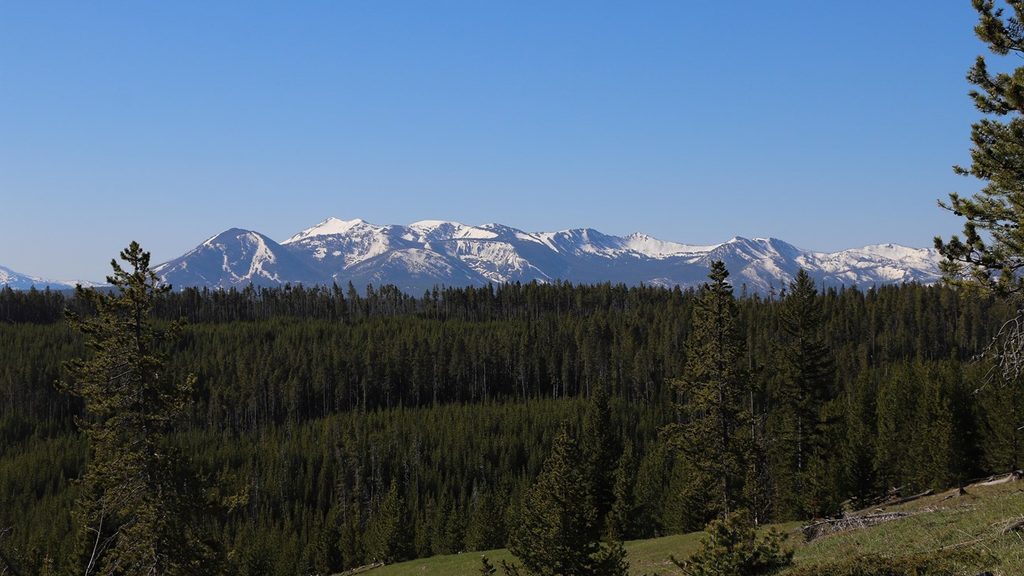 Yellowstone Lake Overlook Trail, Yellowstone National Park