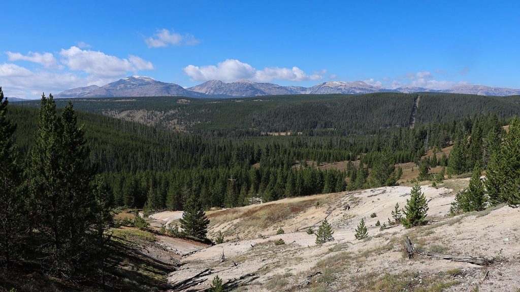Solfatara Creek, Yellowstone National Park