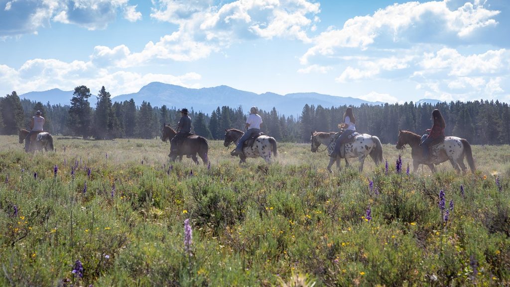 Pelican Valley Trail, Yellowstone National Park