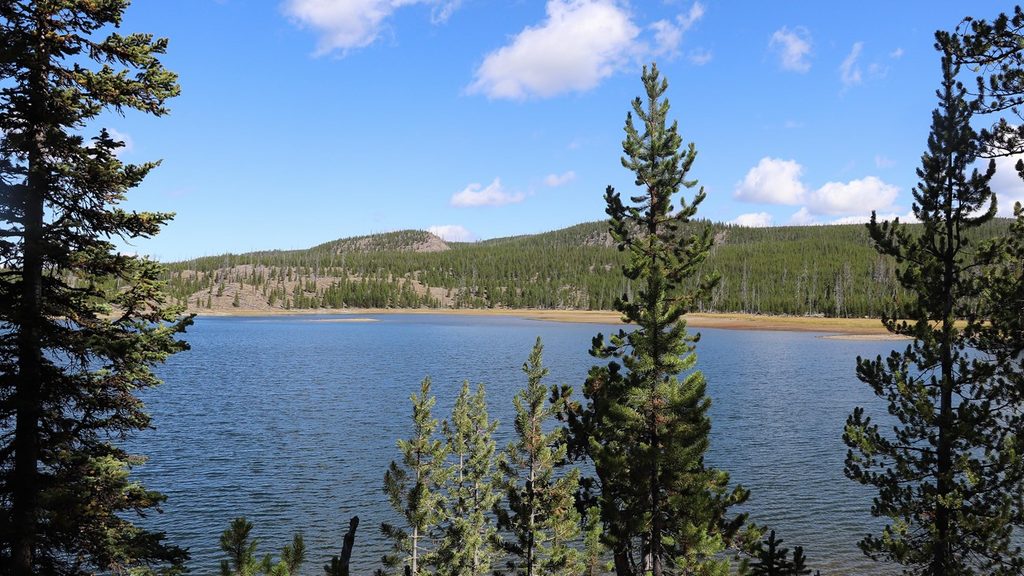 Mallard Lake, Yellowstone National Park