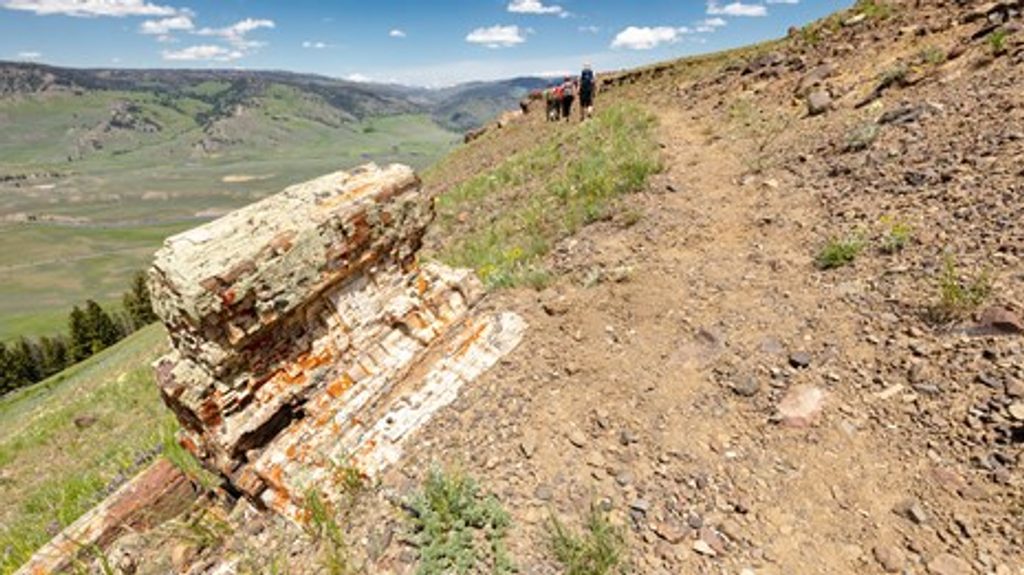 Pitchstone Plateau Trail, Yellowstone National Park
