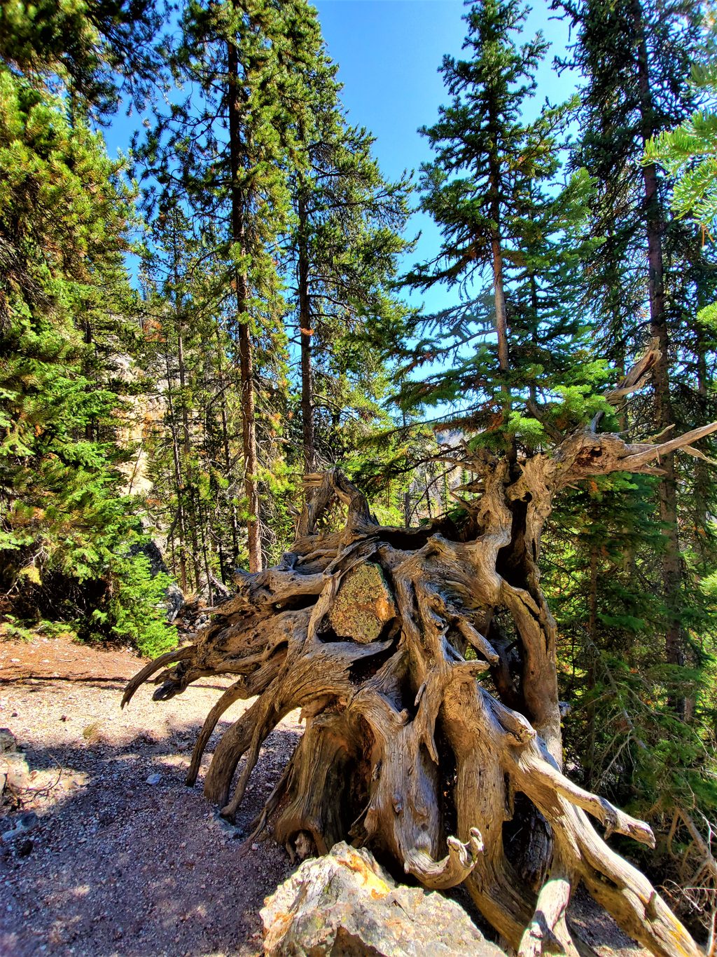 Lookout Point Trail, Yellowstone National Park