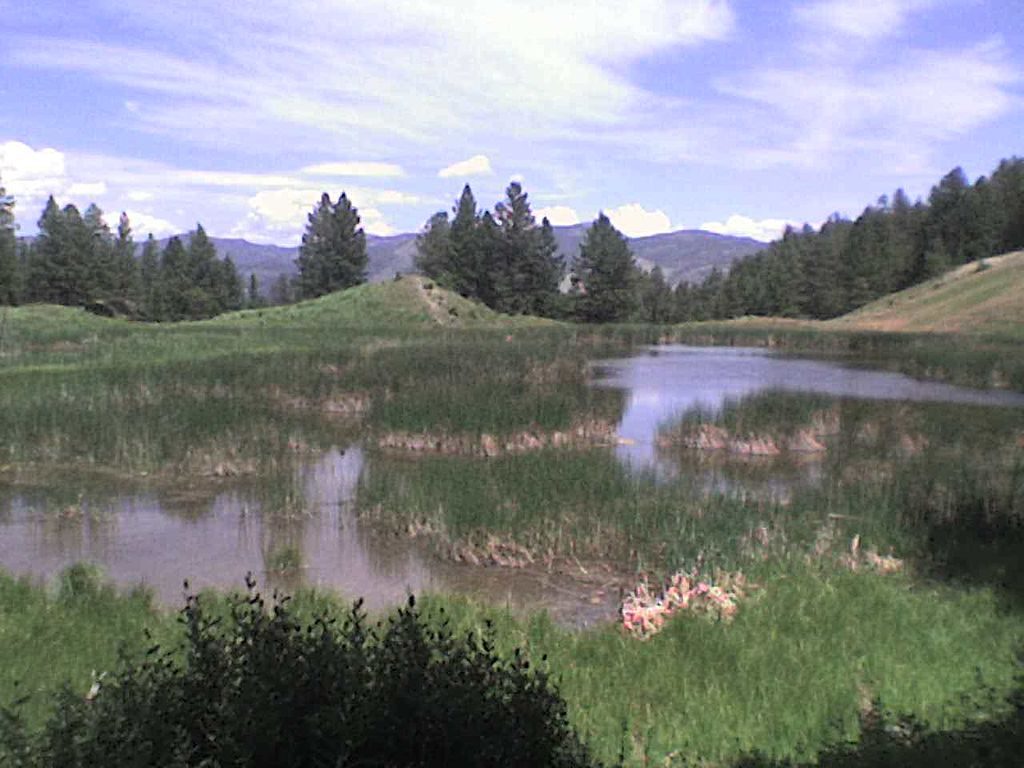 Beaver Ponds Loop Trail, Yellowstone National Park