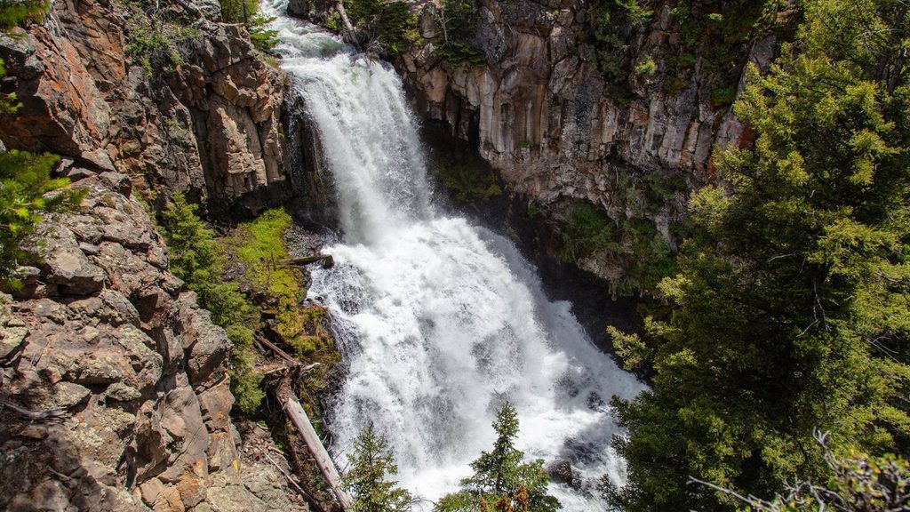 Forces of the Northern Range Trail, Yellowstone National Park