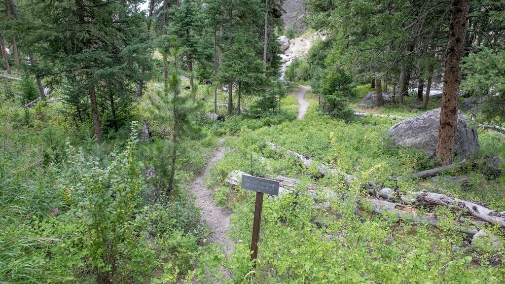 Tower Fall Trail, Yellowstone National Park
