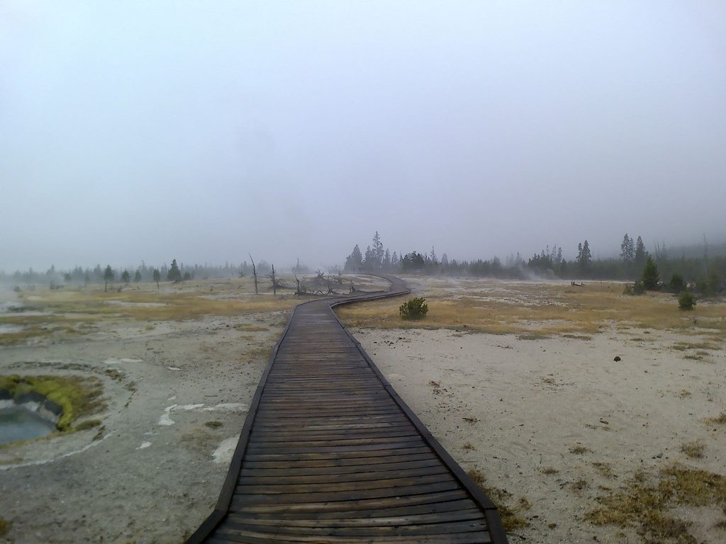 Fairy Creek Trail, Yellowstone National Park