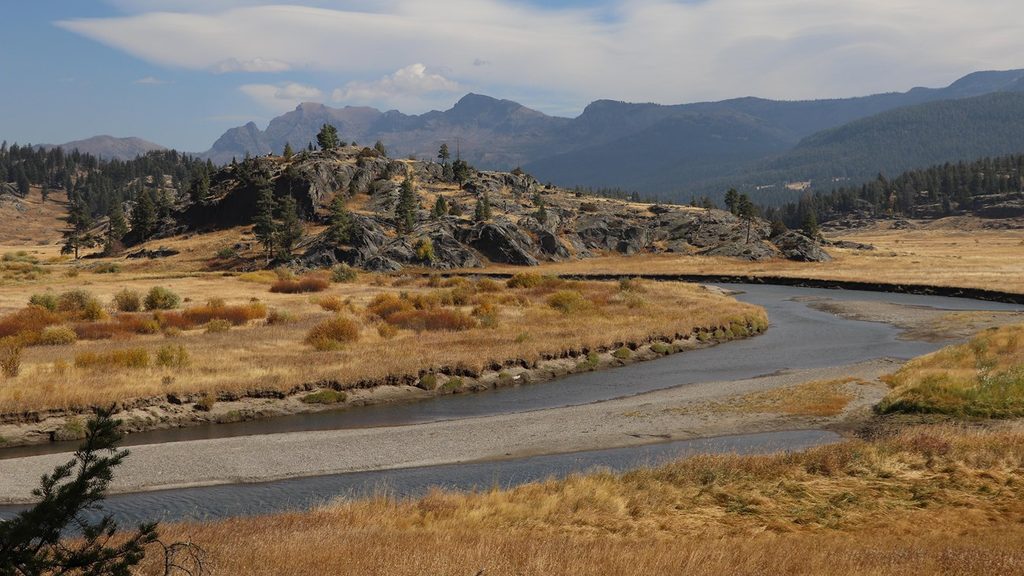 Slough Creek Trail to First Meadow, Yellowstone National Park