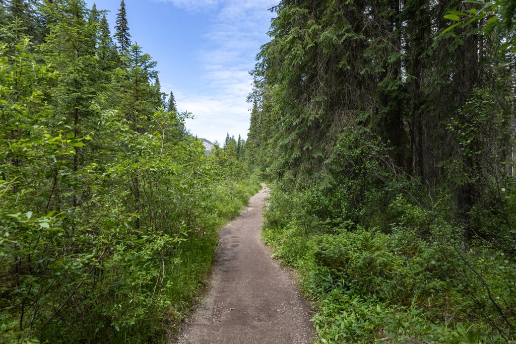 Wapta Falls Trail, Yoho National Park