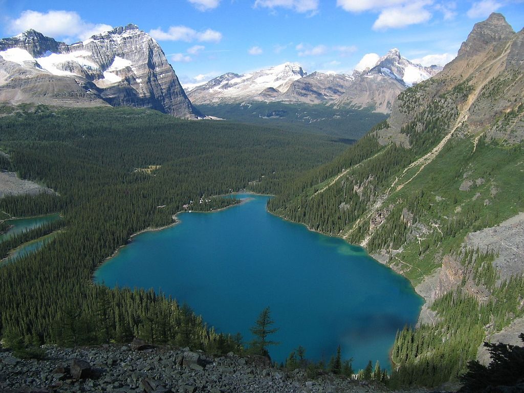 Lake O’Hara Alpine Circuit, Yoho National Park