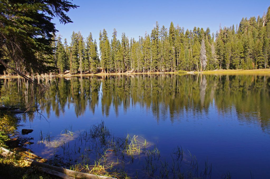 Lukens Lake Trail, Yosemite National Park