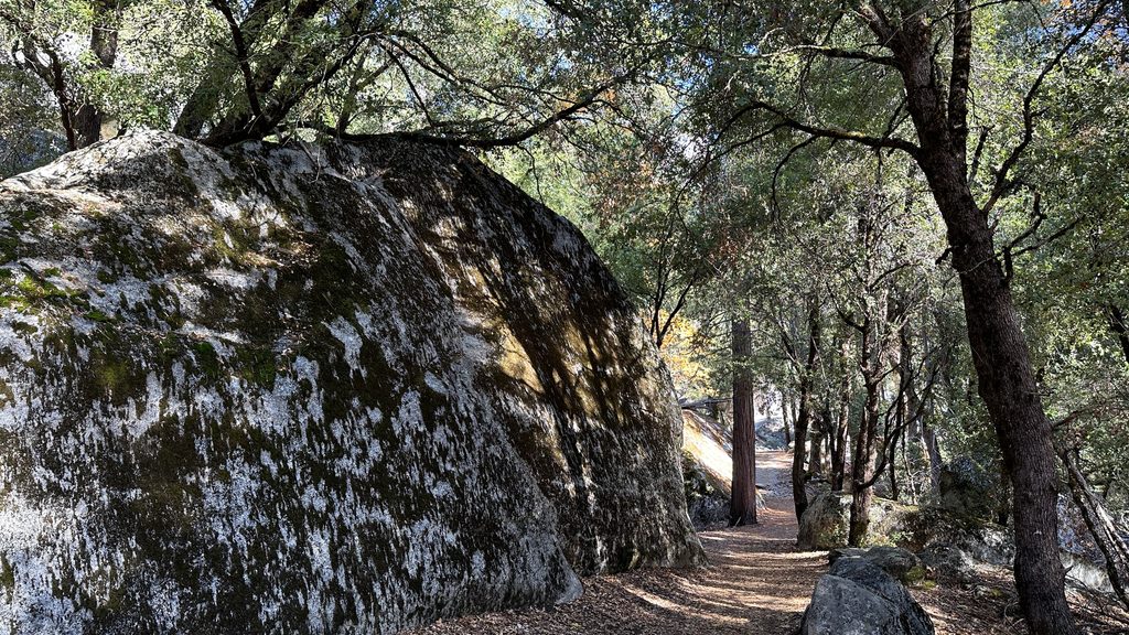 Valley Loop Trail, Yosemite National Park