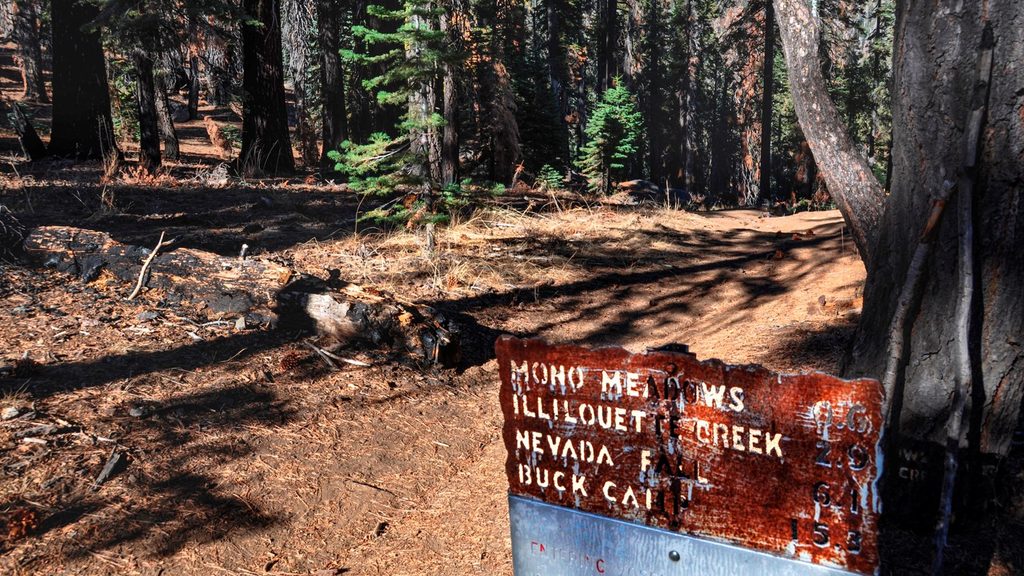 Mono Meadow Trail, Yosemite National Park