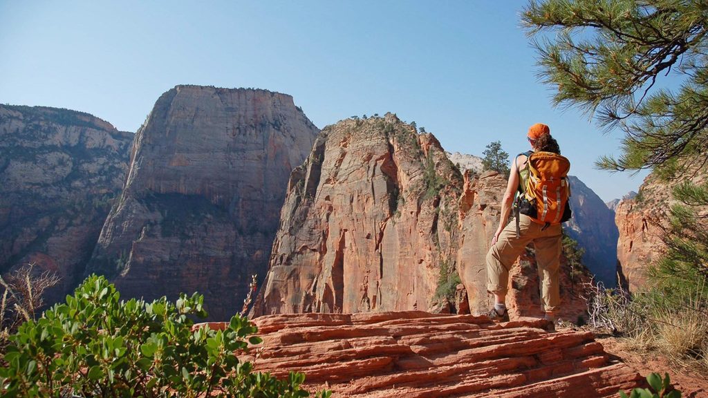 West Rim Trail to Scout Lookout, Zion National Park
