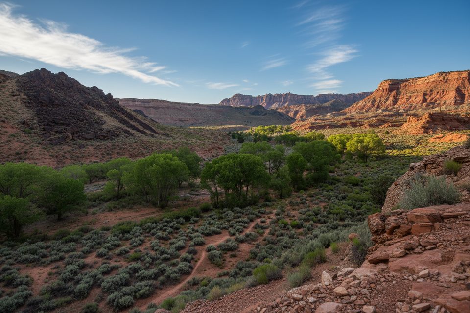 Coalpits Wash Trail, Zion National Park