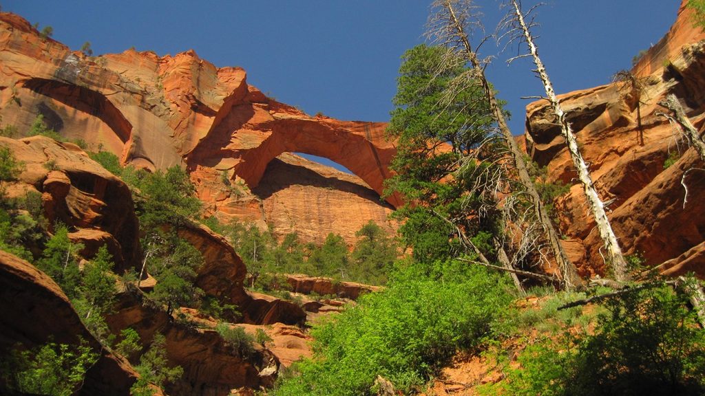 Kolob Arch via La Verkin Creek Trail, Zion National Park
