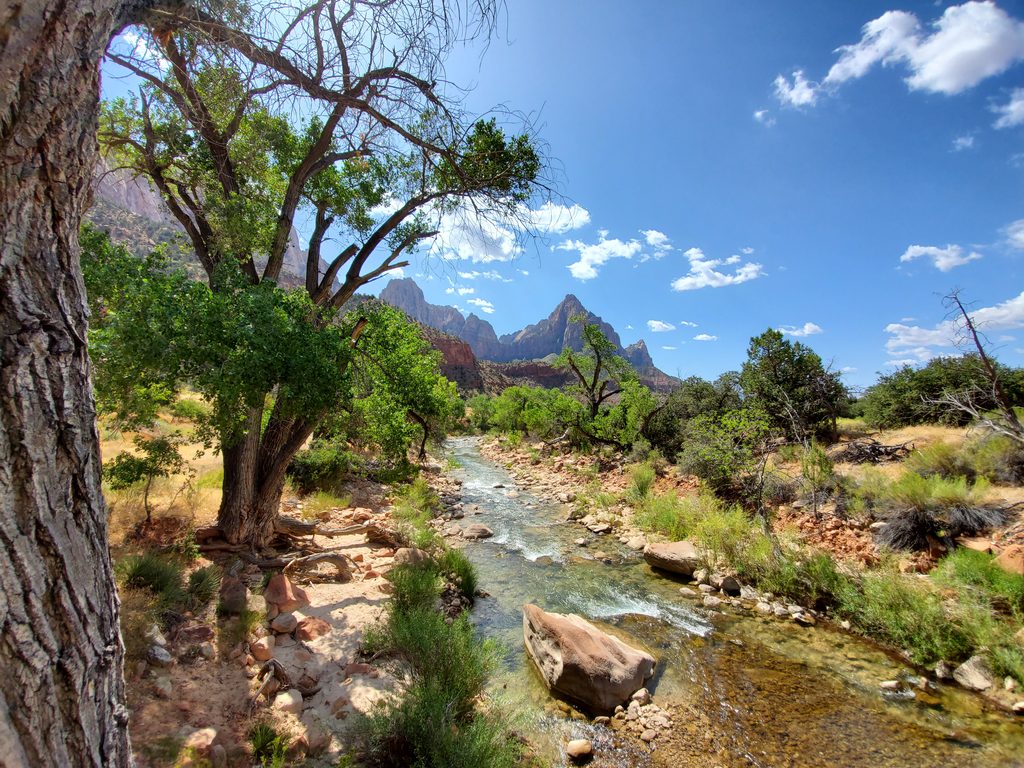 Pa'rus Trail, Zion National Park