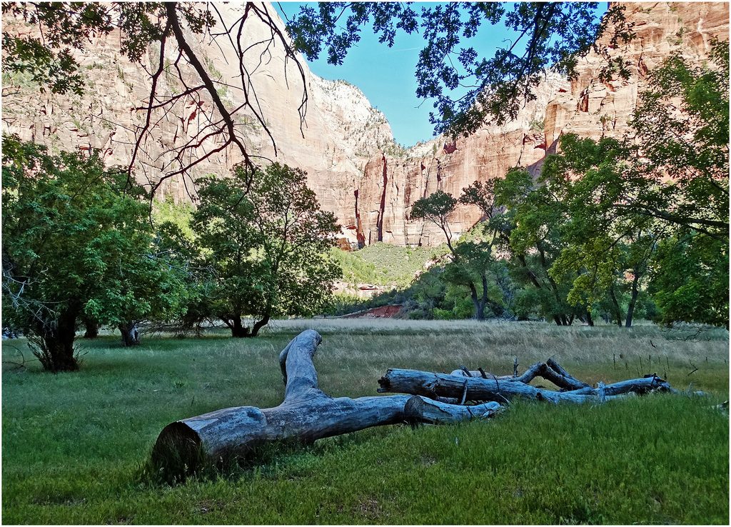 Grotto Trail, Zion National Park