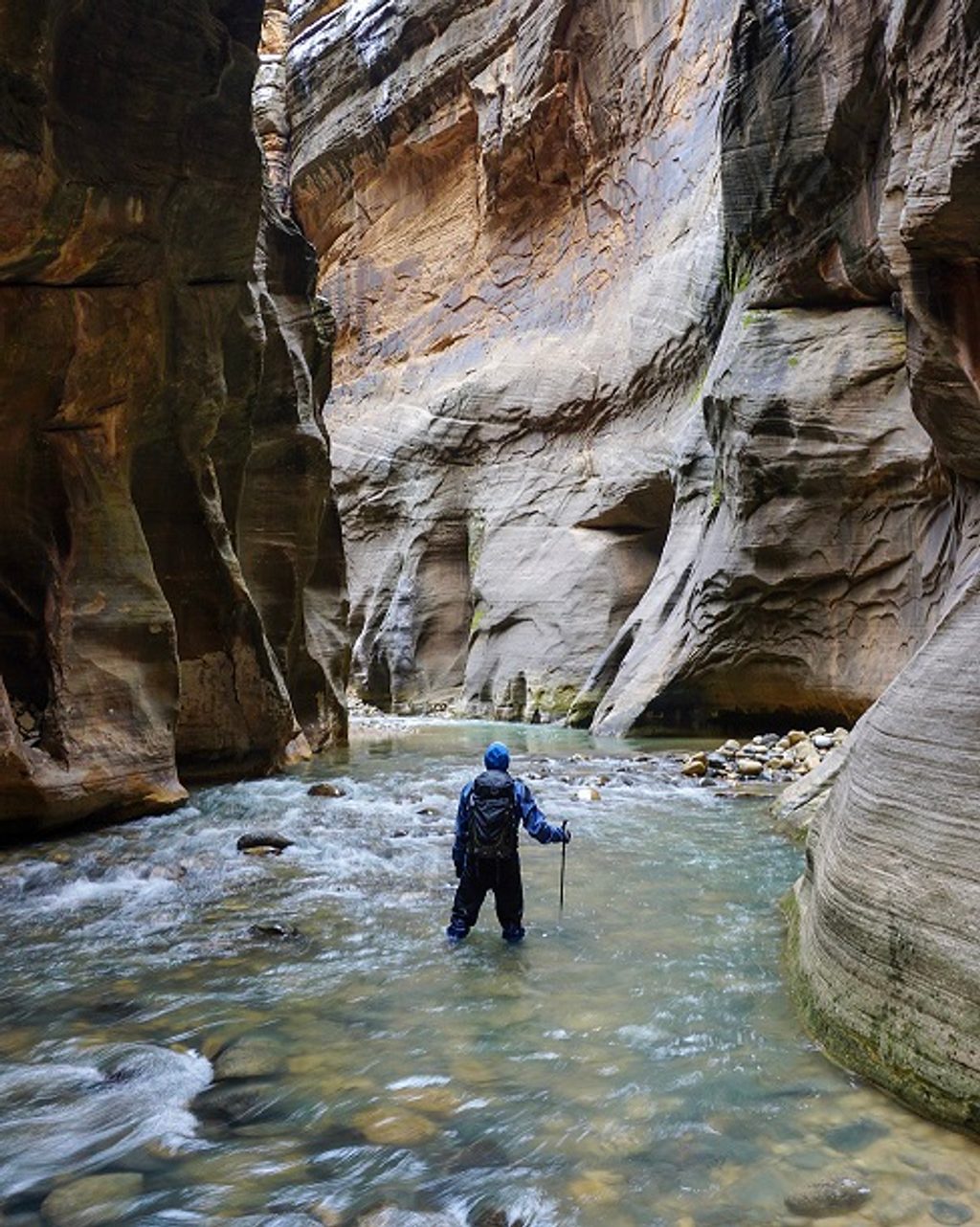 The Narrows Top Down, Zion National Park